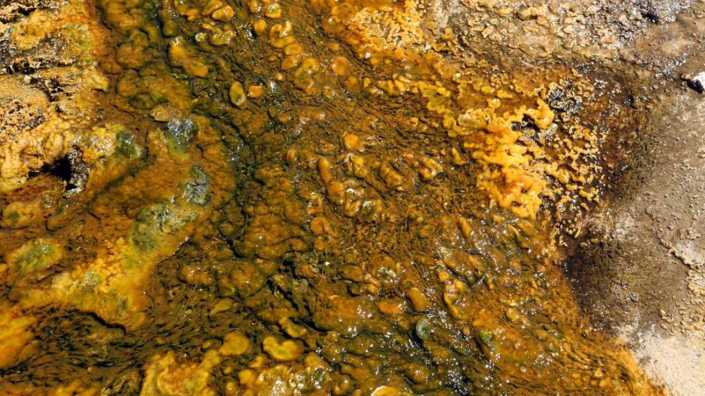 Mineral Deposit (BAPETA Training)